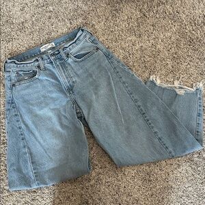 Abercrombie & Fitch Mid Rise Barrel Blue Jeans - Curve Love size 25 Short